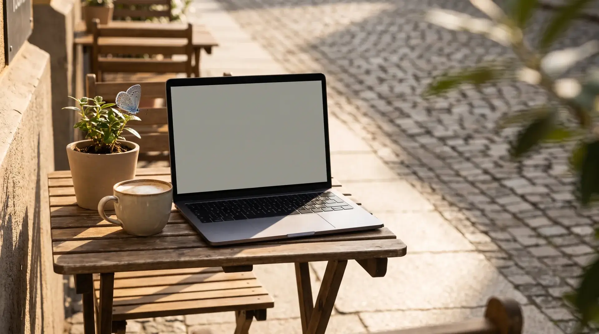 Open laptop and coffee on a sunny sidewalk cafe table with a small blue butterfly on a potted plant — Evolve, LLC