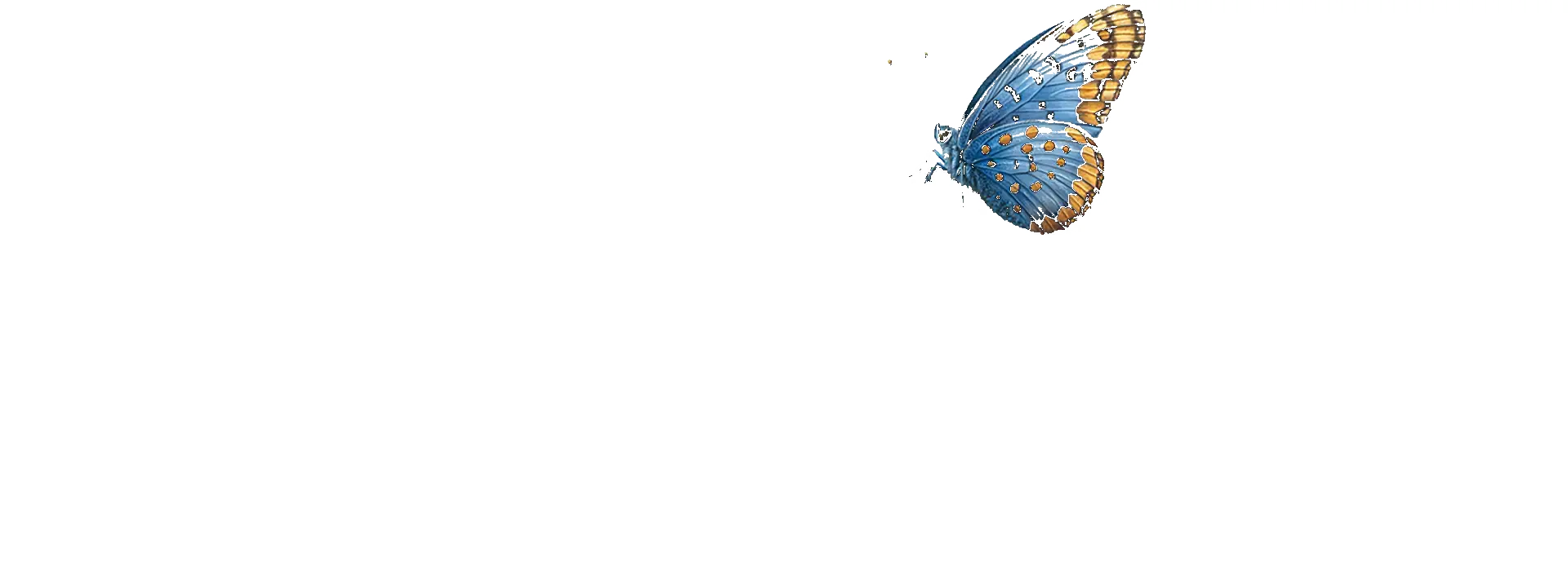 Evolve